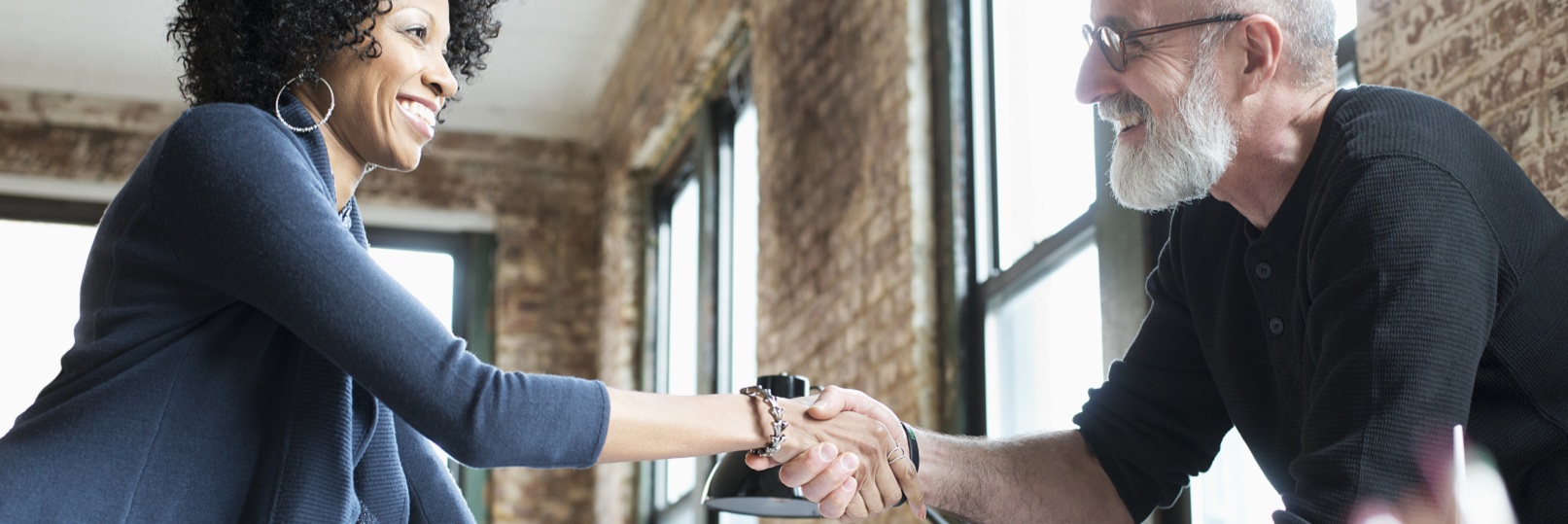 Two professionals shaking hands